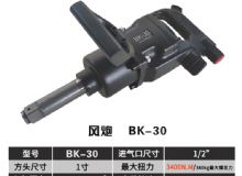 點擊查看詳細信息<br>標題：BK-30 閱讀次數(shù)：1729